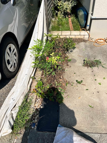 杉並区I様邸植栽撤去1