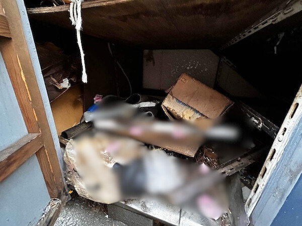 調布市P社様物置撤去施工前2