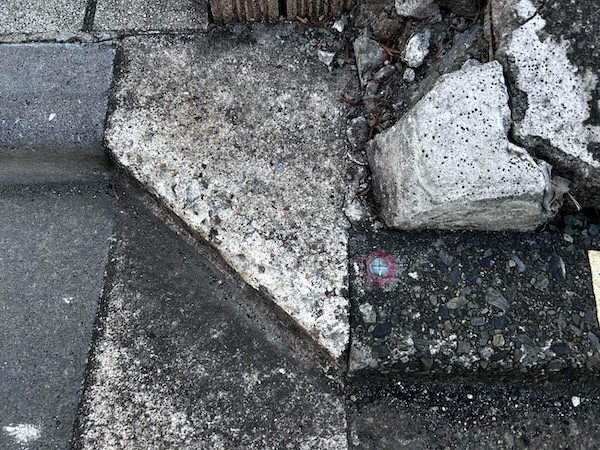 杉並区K様邸外構補修：現地調査2