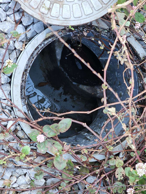 東京都世田谷区 汚水桝 清掃後