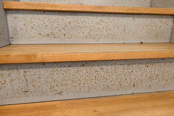 東京都世田谷区-S様邸-施工前階段