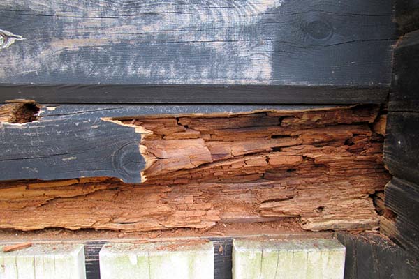 建物内部（木材や断熱材）の腐食