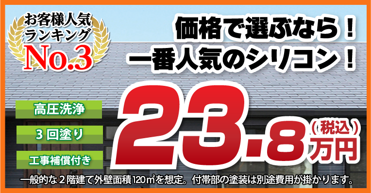 お客様人気ランキングNo.3 価格で選ぶなら！一番人気のシリコン23.8万円~