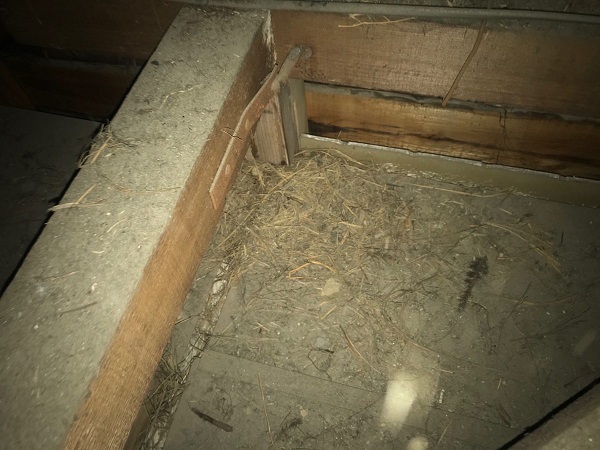 東京都中野区　屋根　雨漏り点検　害獣被害　ネズミ対策 (5)