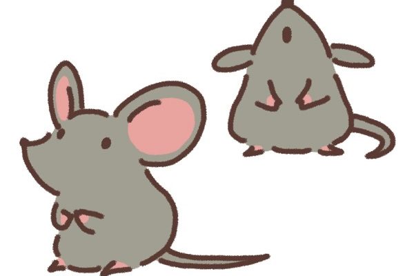 東京都中野区　屋根　雨漏り点検　害獣被害　ネズミ対策 (1)
