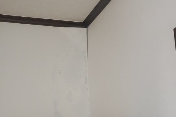 東京都中野区　外壁塗装・屋根改修工事　事前調査　雨漏り (1)
