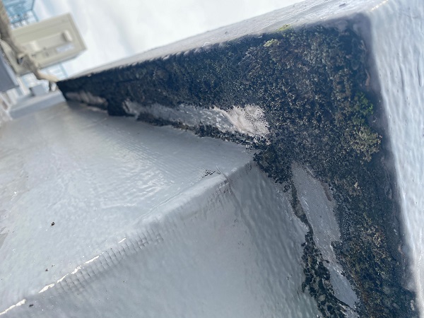 東京都世田谷区　Mビル　防水工事　屋上の劣化状況　天窓からの雨漏り (3)