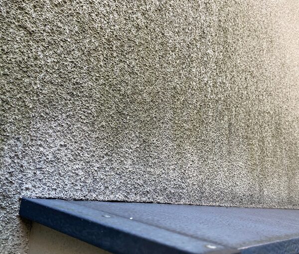 東京都杉並区　N様邸　屋根塗装・外壁塗装　施工前の状態②　外壁、付帯部の劣化症状 (9)