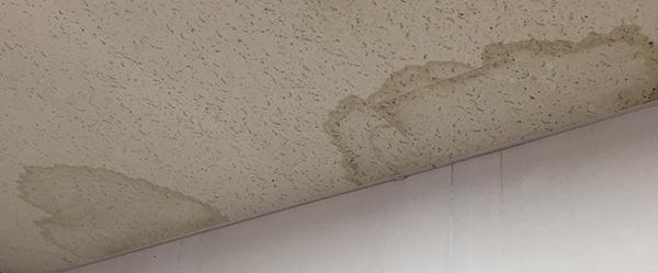天井のシミ雨漏り