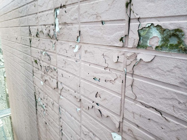 東京都杉並区・T様　屋根カバー工法・外壁部分張り替え・外壁塗装　現地調査の様子 (2)