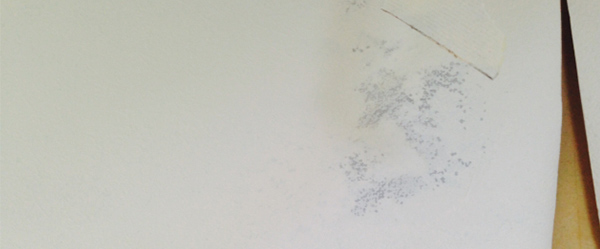 雨漏りによる壁紙のシミ