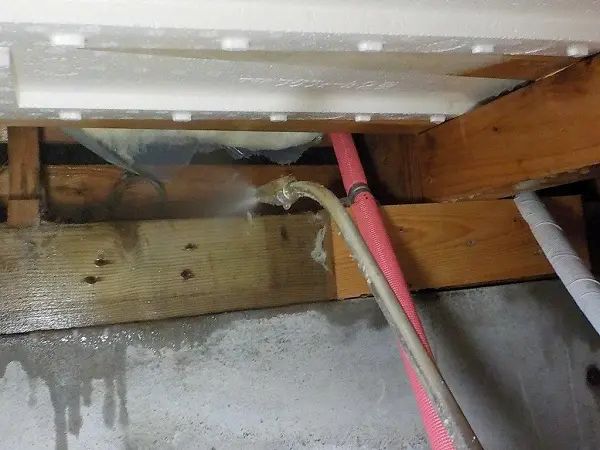 外壁塗装でシロアリを防げる！？薬剤散布と同時施工で最大限に効果発揮！