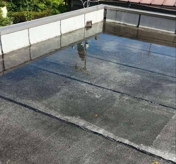東京都杉並区・店舗｜雨漏り補修工事の現場調査！屋上防水が劣化していました (3)