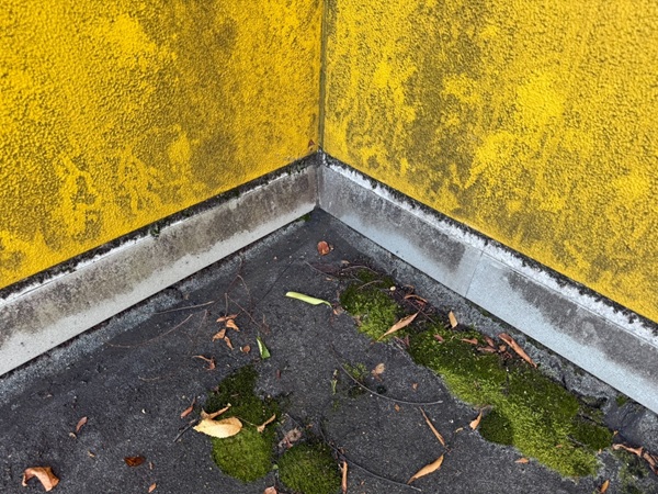 東京都杉並区・店舗｜雨漏り補修工事の現場調査！屋上防水が劣化していました (4)