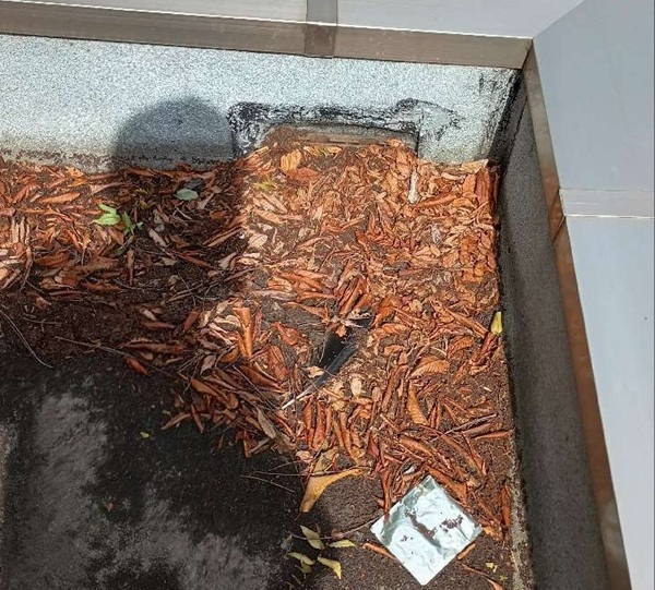 東京都杉並区・店舗｜雨漏り補修工事の現場調査！屋上防水が劣化していました (2)