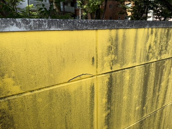 東京都杉並区・店舗｜雨漏り補修工事の現場調査！屋上防水が劣化していました (2)