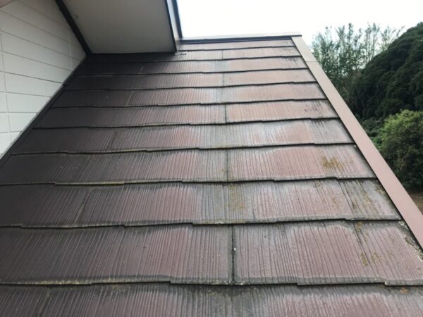 屋根 コケ・カビ