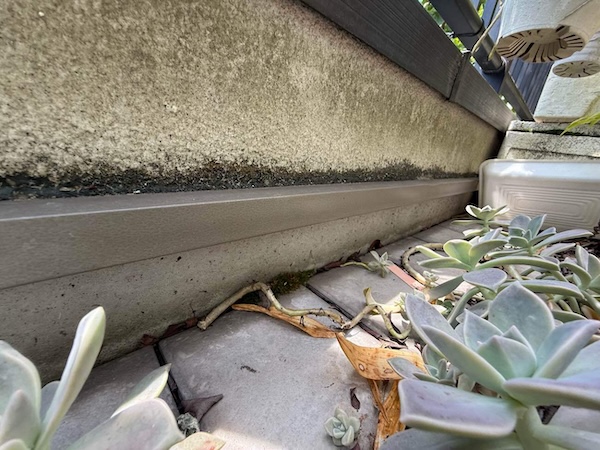 中野区G様邸_現地調査バルコニー2