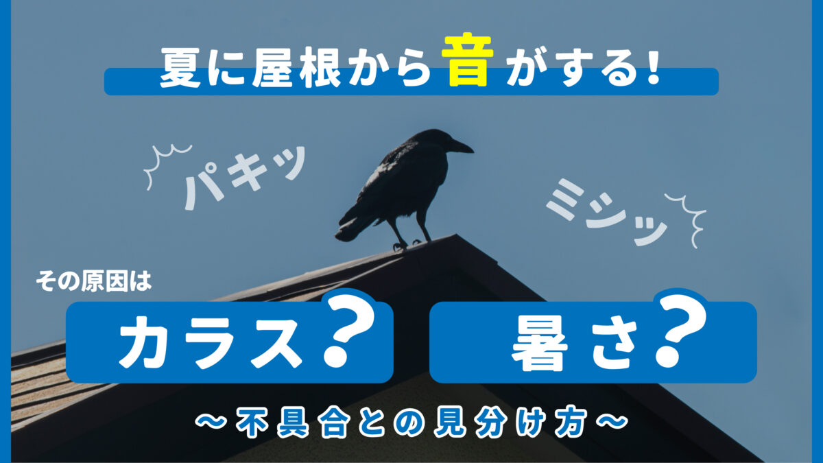 夏に屋根から音がする！その原因はカラス？暑さ？不具合との見分け方